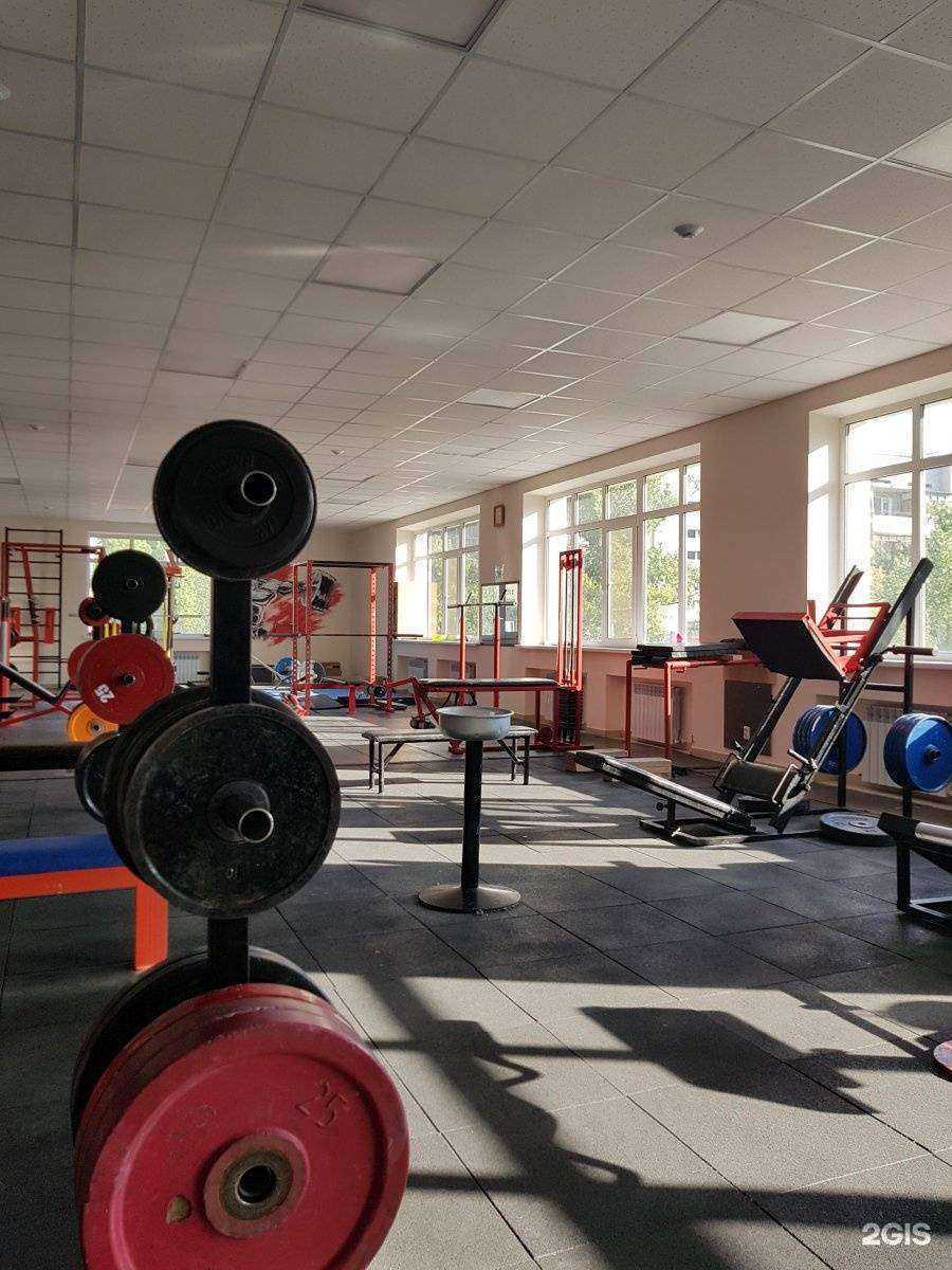 Отзывы на компанию Elite power gym в Волжском c фото