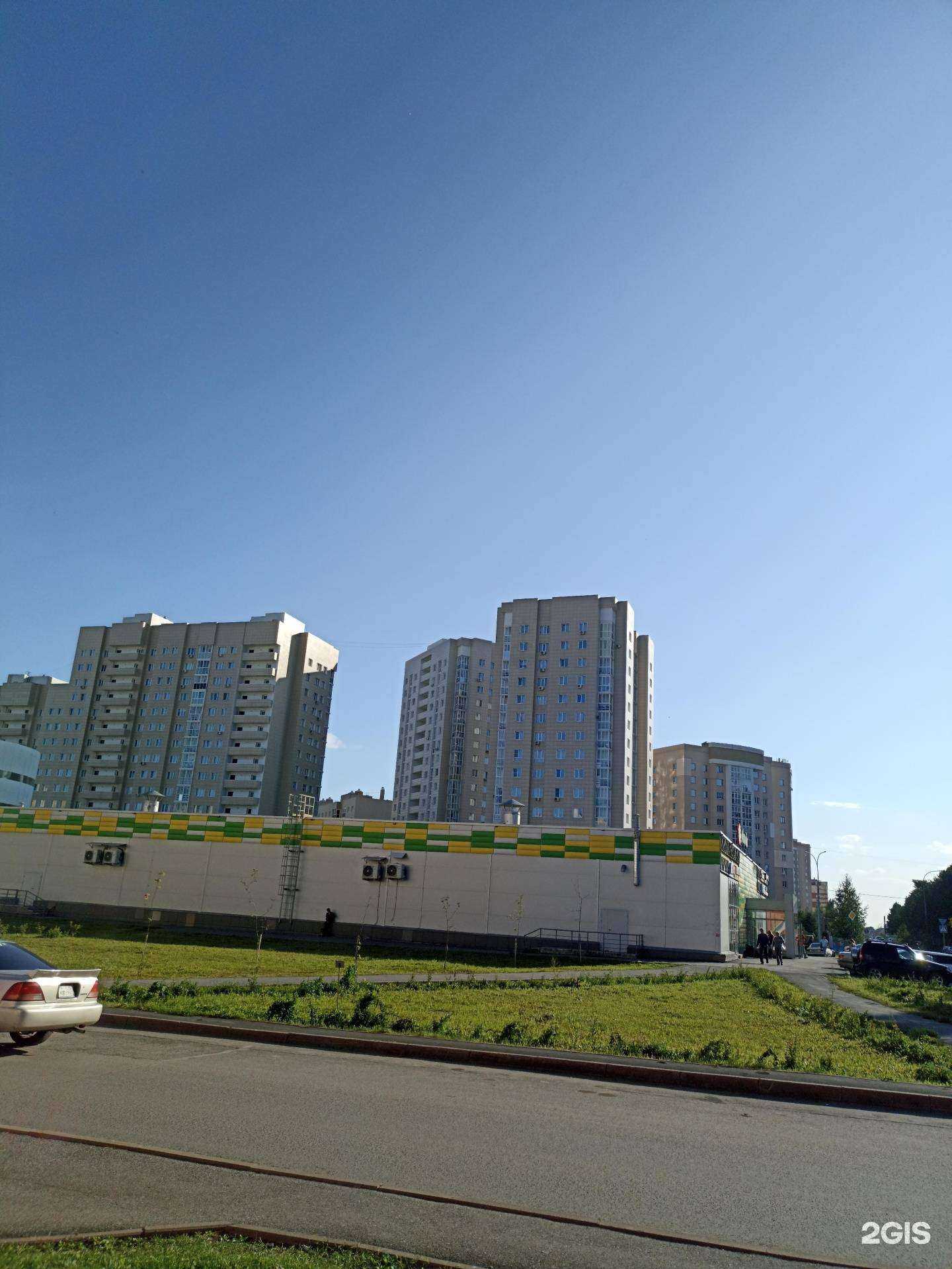 Отзывы на компанию Заросли в Кемерове c фото - фотография 2 из 2