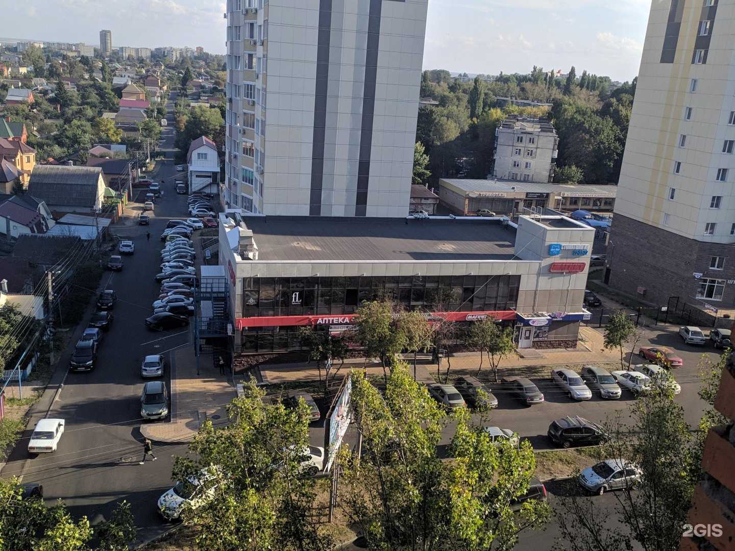 Отзывы на компанию Цветочный Алири в Курске c фото - фотография 2 из 2