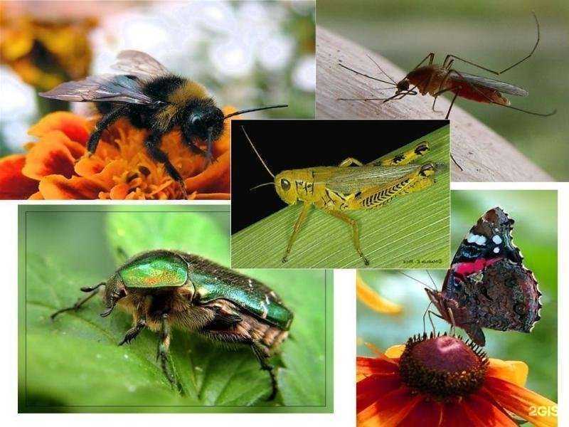 Отзывы на компанию Южная столица в г. Ростов-на-Дону c фото