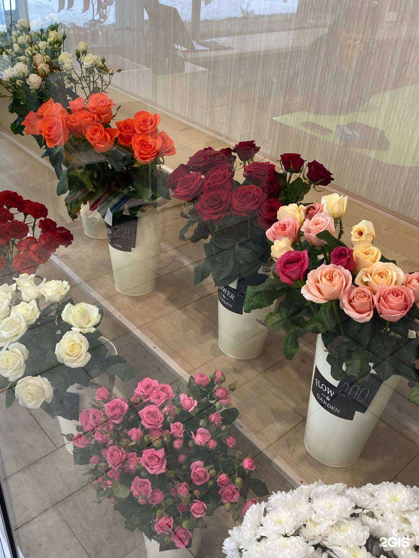 Отзывы на компанию Цветочный магазин в г. Железногорск c фото