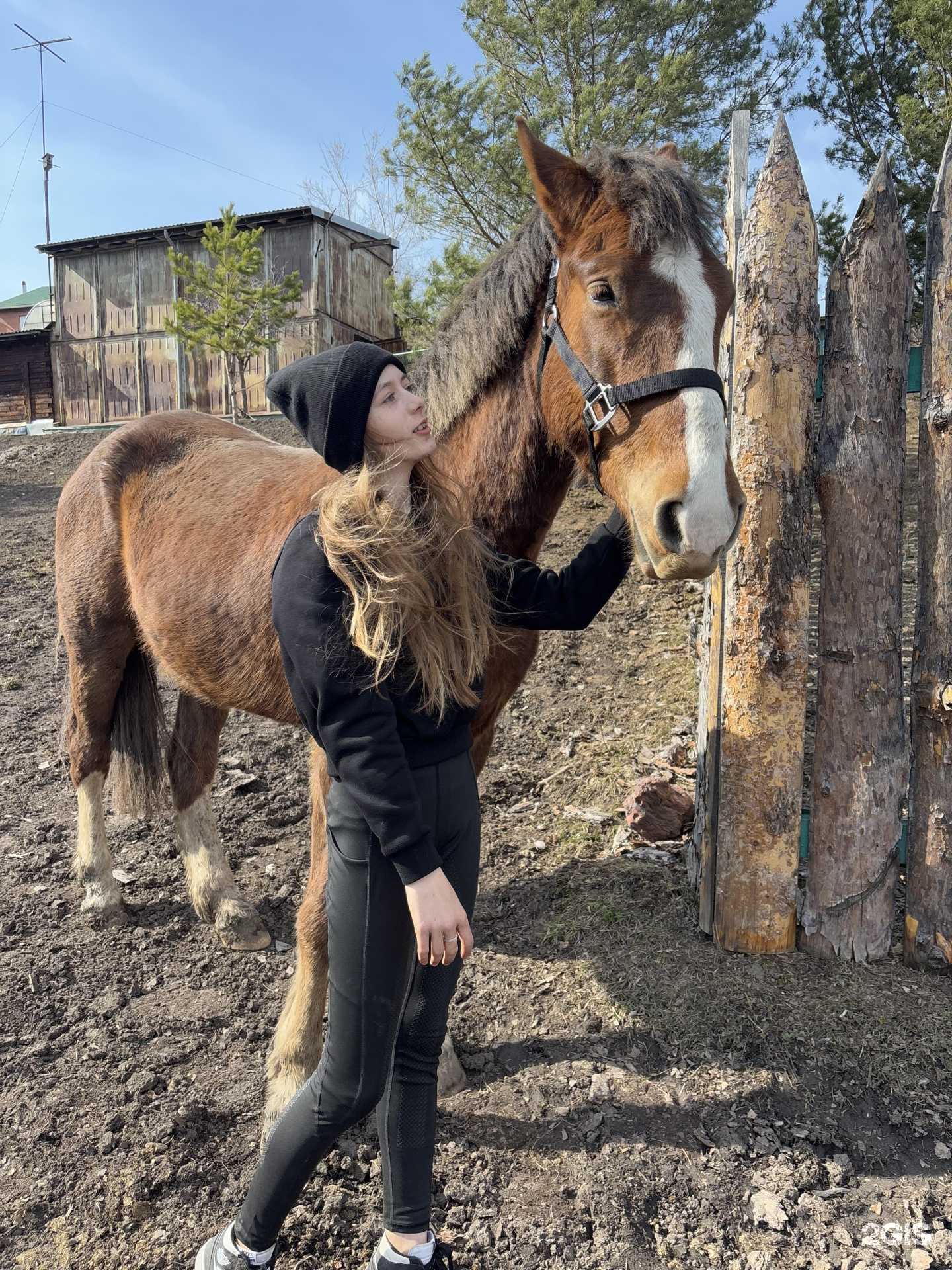 Отзывы на компанию Винчестер в г. Киселёвск c фото