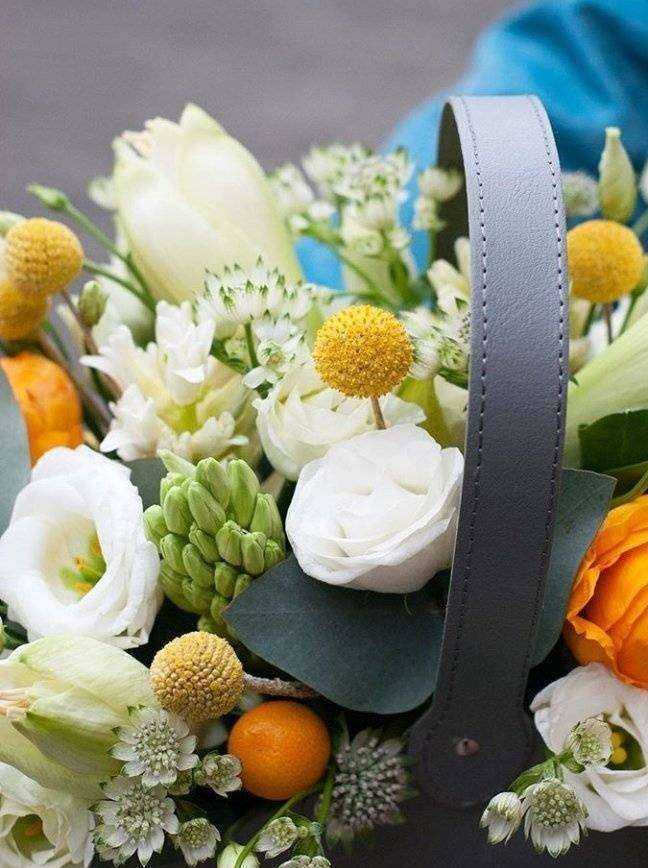 Отзывы на компанию Протея в Калининграде c фото