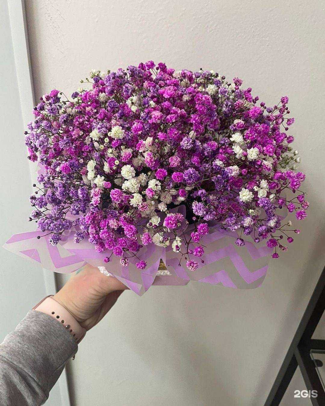 Отзывы на компанию Клевер в Куровском c фото