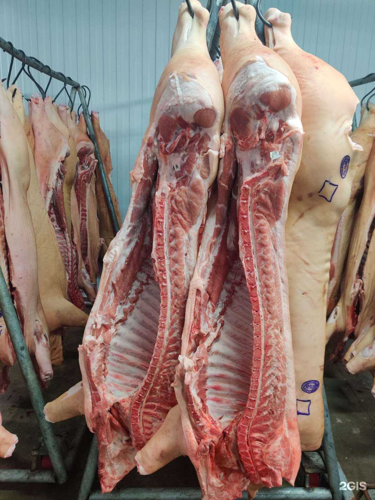 Отзывы на компанию Мясная база в Кургане c фото