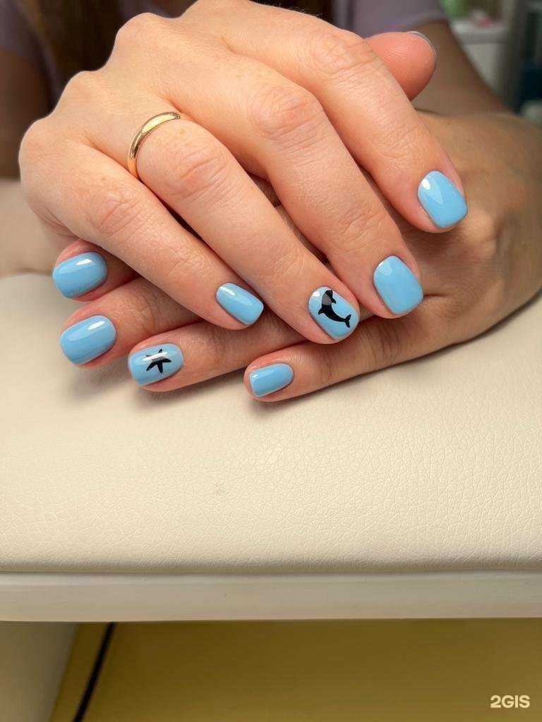 Отзывы на компанию Sparaxis в г. Новороссийск c фото