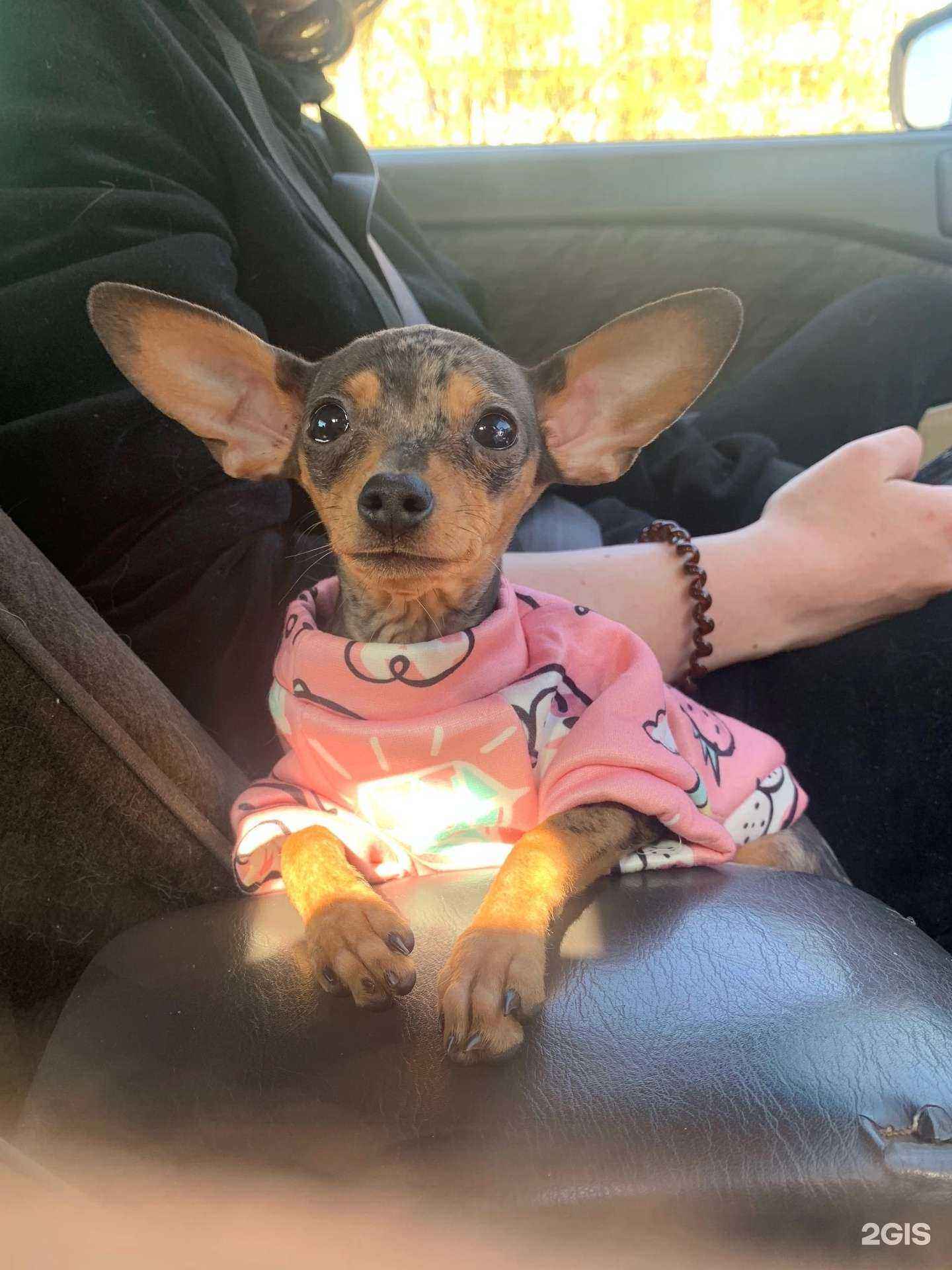 Отзывы на компанию Енот в г. Чита c фото