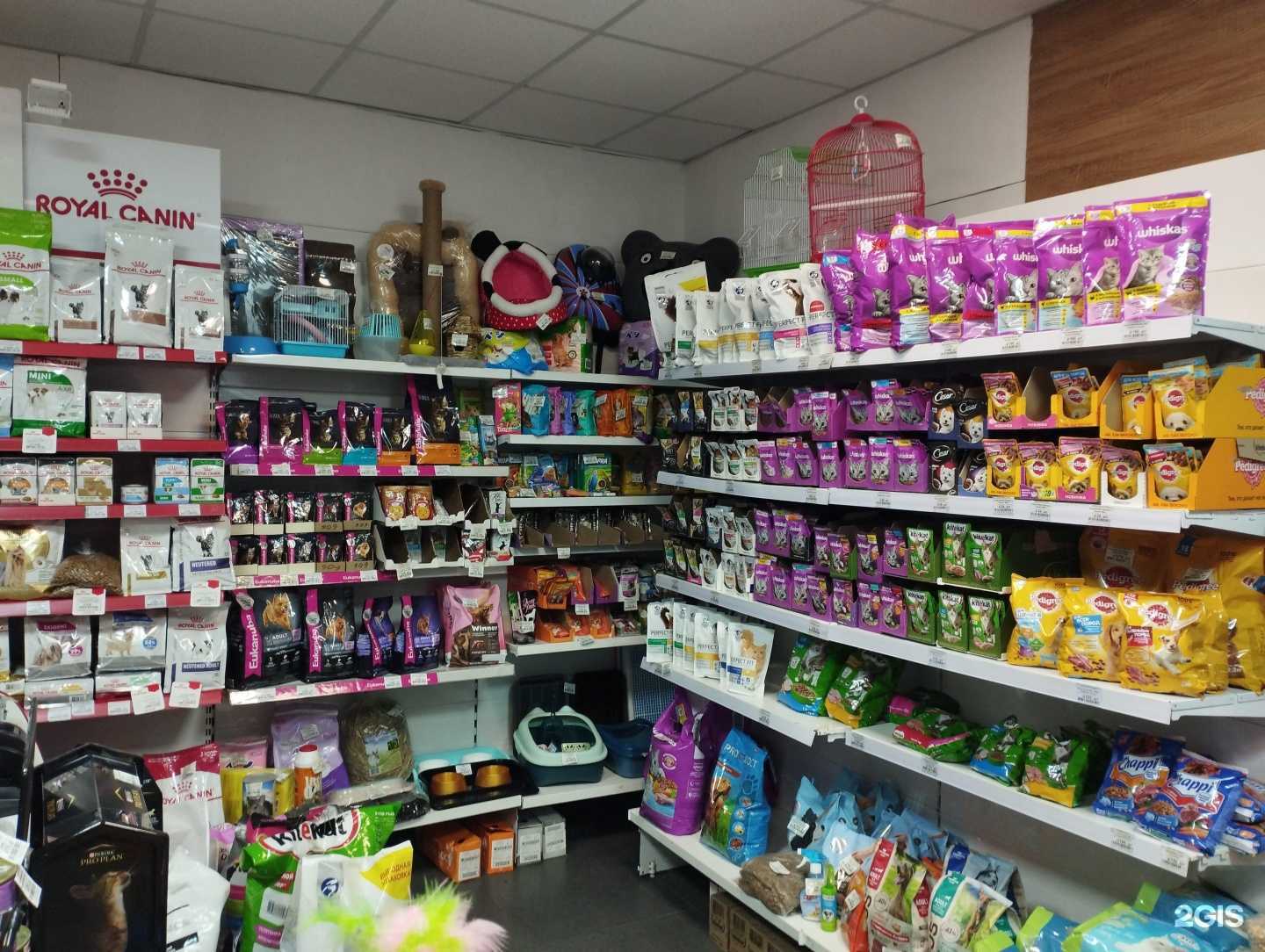 Отзывы на компанию Зоомагазин в г. Уссурийск c фото