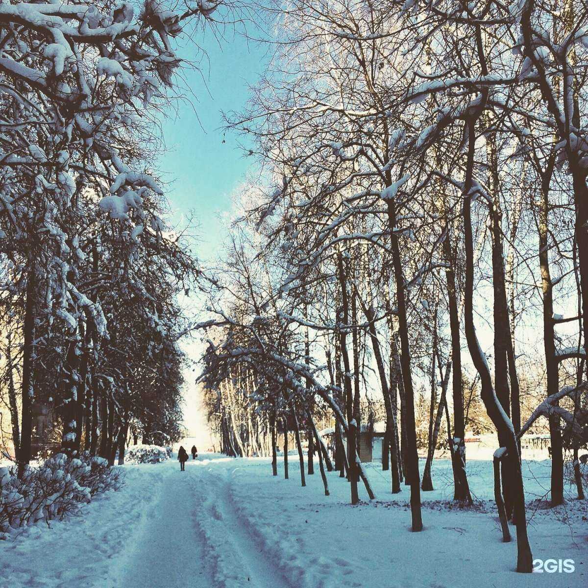 Отзывы на компанию Онега в Курске c фото - фотография 2 из 2