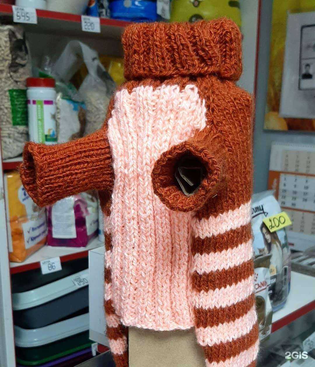 Отзывы на компанию Кот и пес в Волгограде c фото