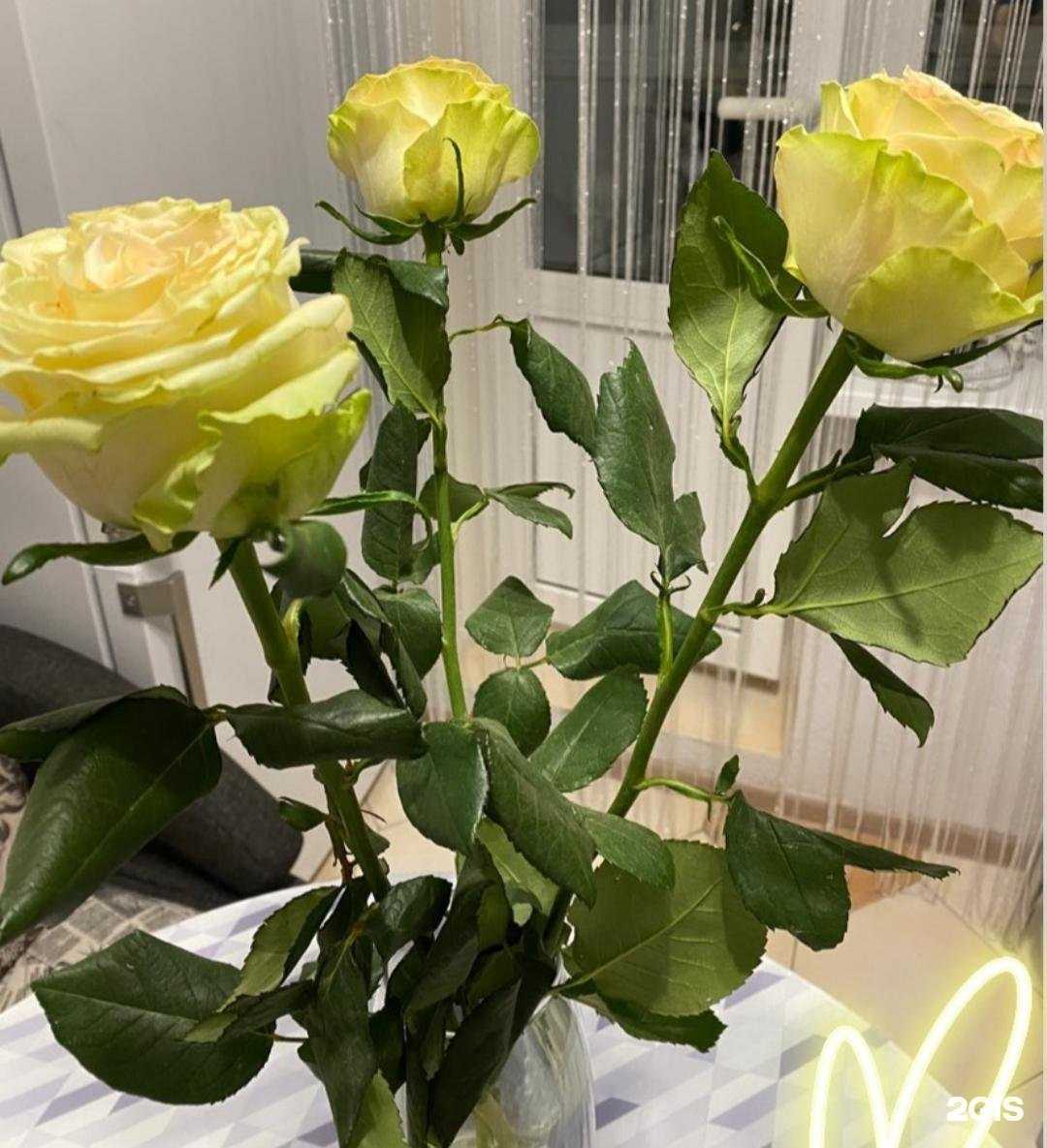 Отзывы на компанию Салон цветов в Саратове c фото