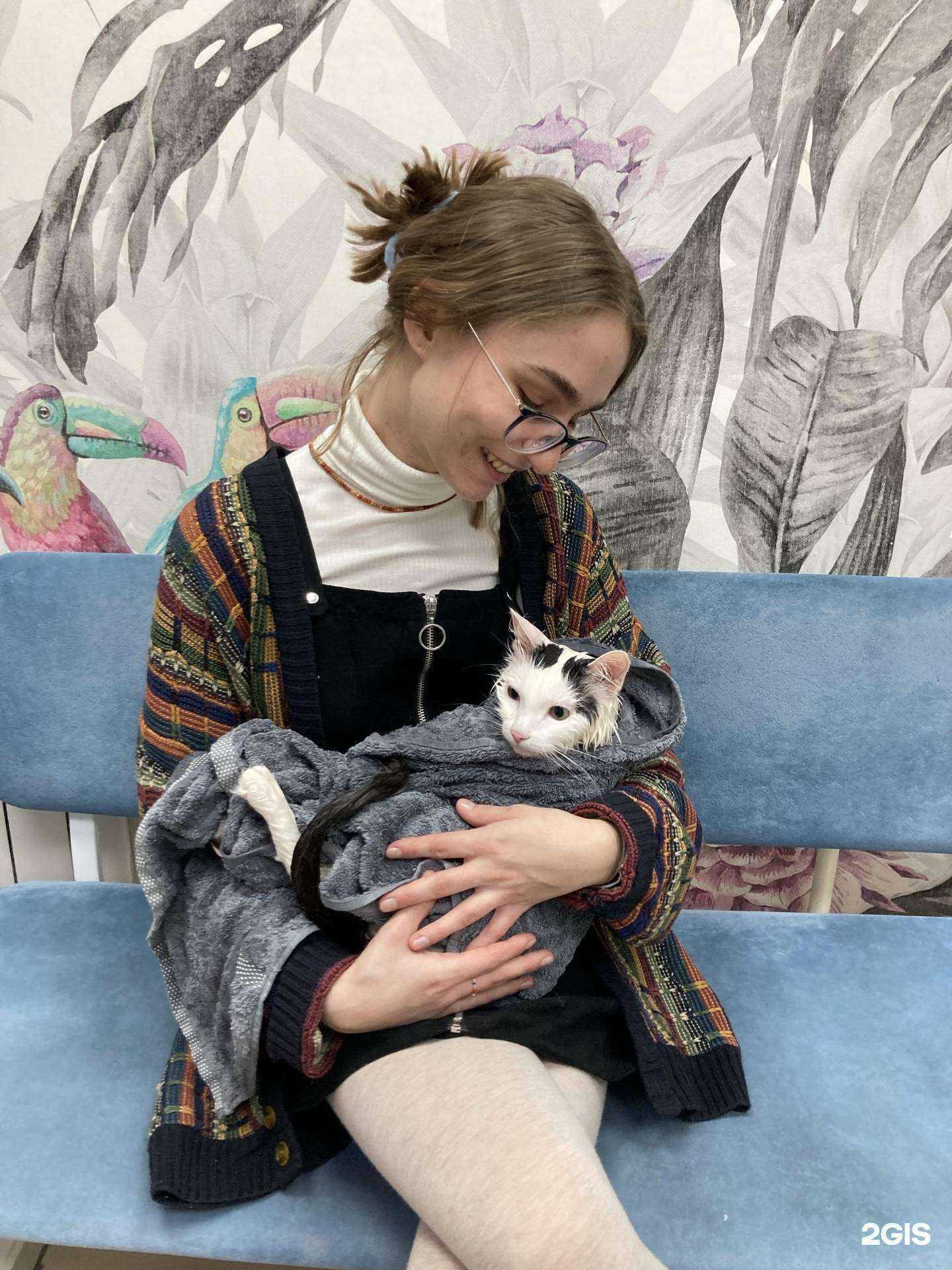 Отзывы на компанию Рыжий Лис в Томске c фото