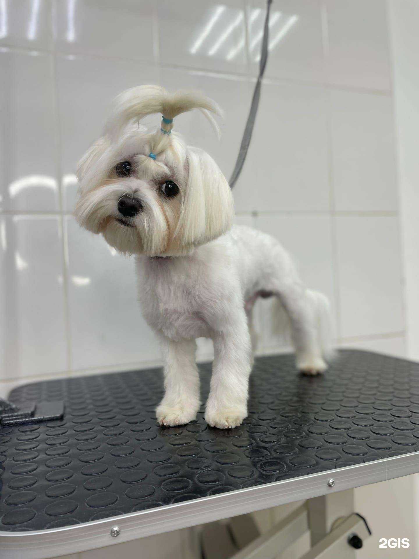 Отзывы на компанию Mone в Петропавловске-Камчатском c фото