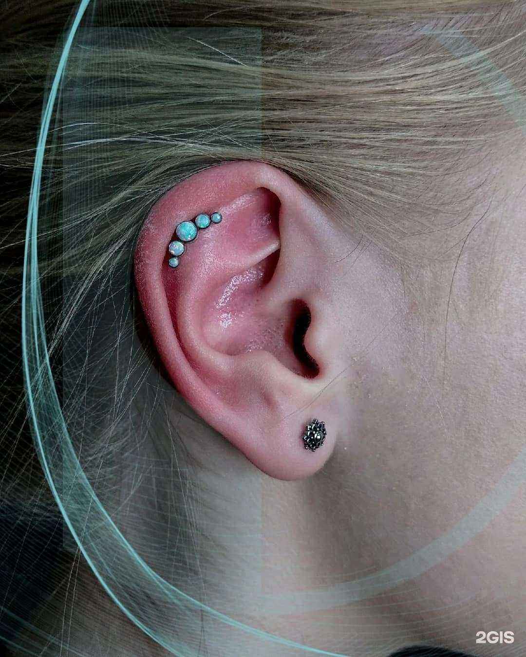 Отзывы на компанию Botanica в Ярославле c фото