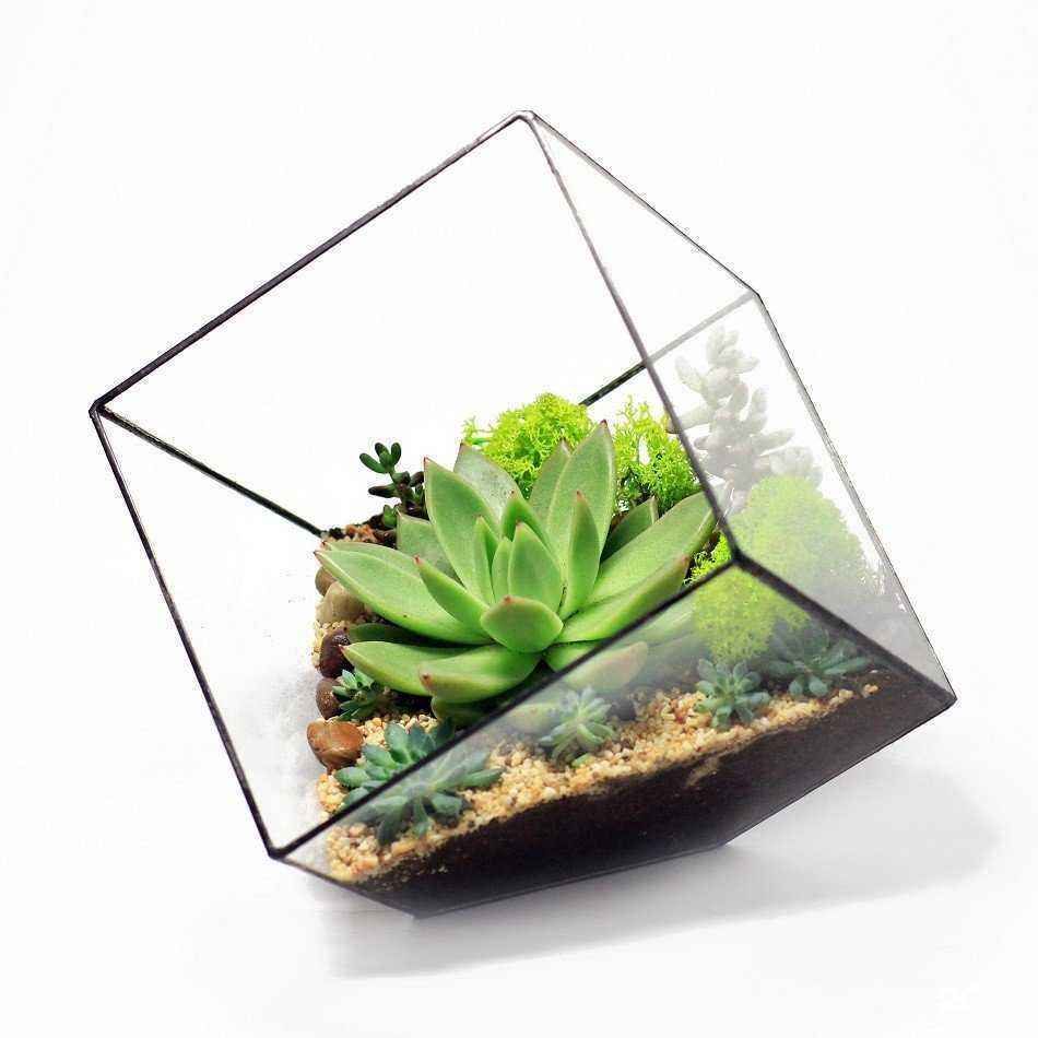 Отзывы на компанию Прованс в Нижневартовске c фото