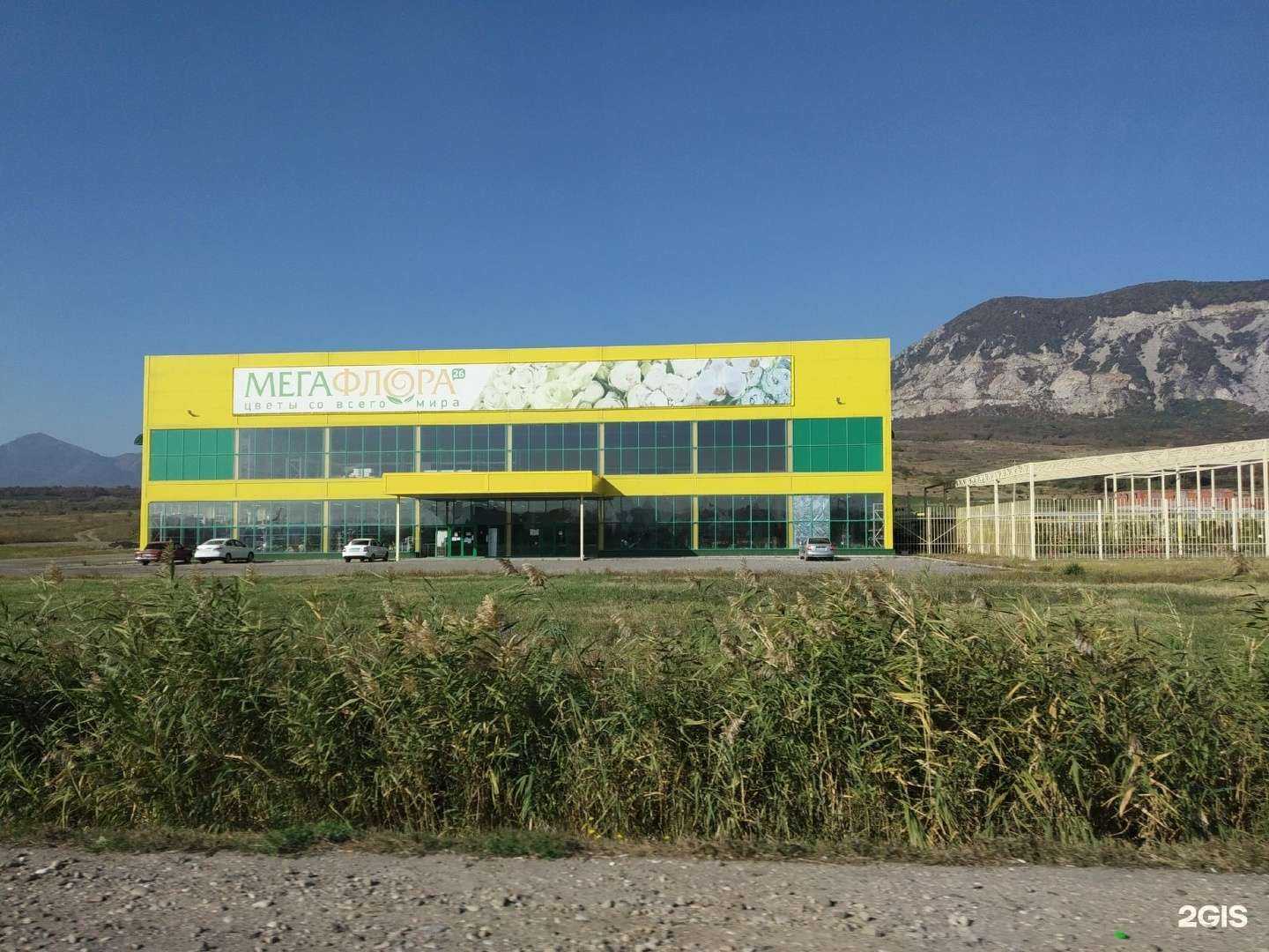 Отзывы на компанию Grand Line в Минеральных Водах c фото - фотография 2 из 2