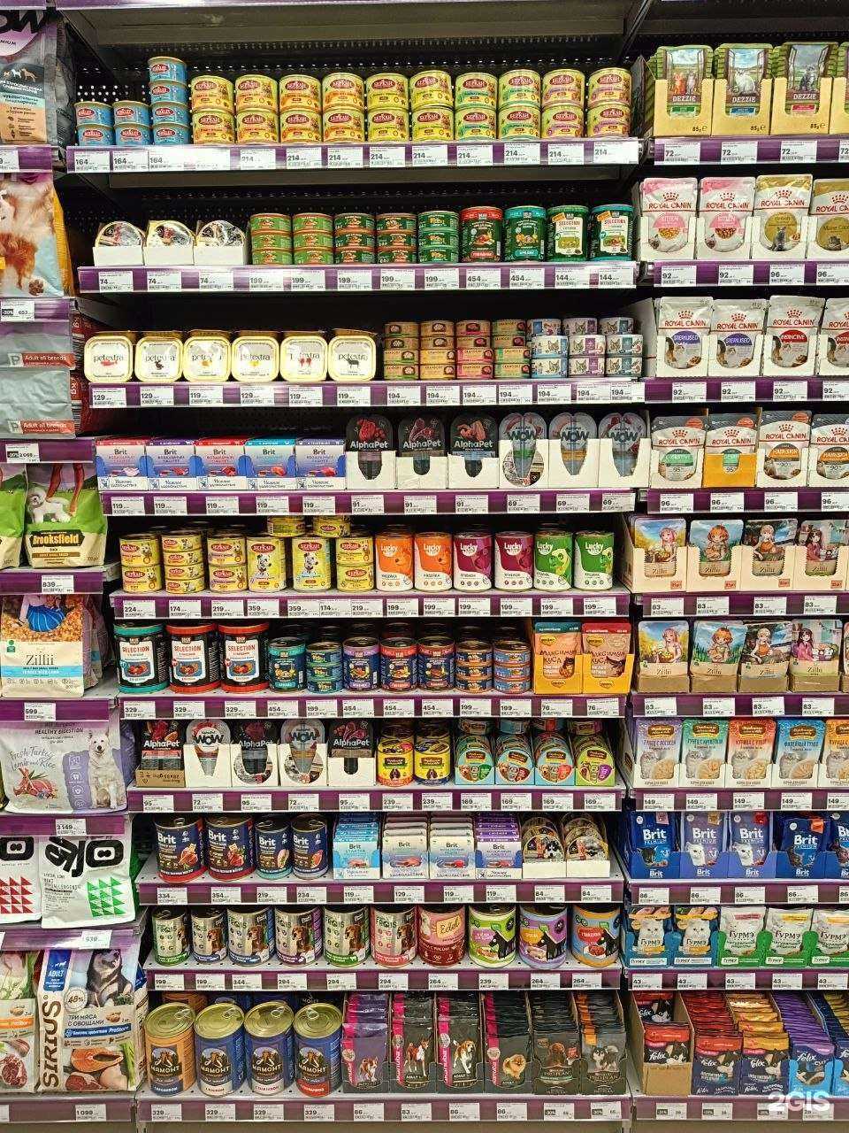 Отзывы на компанию Мокрый нос в Чите c фото