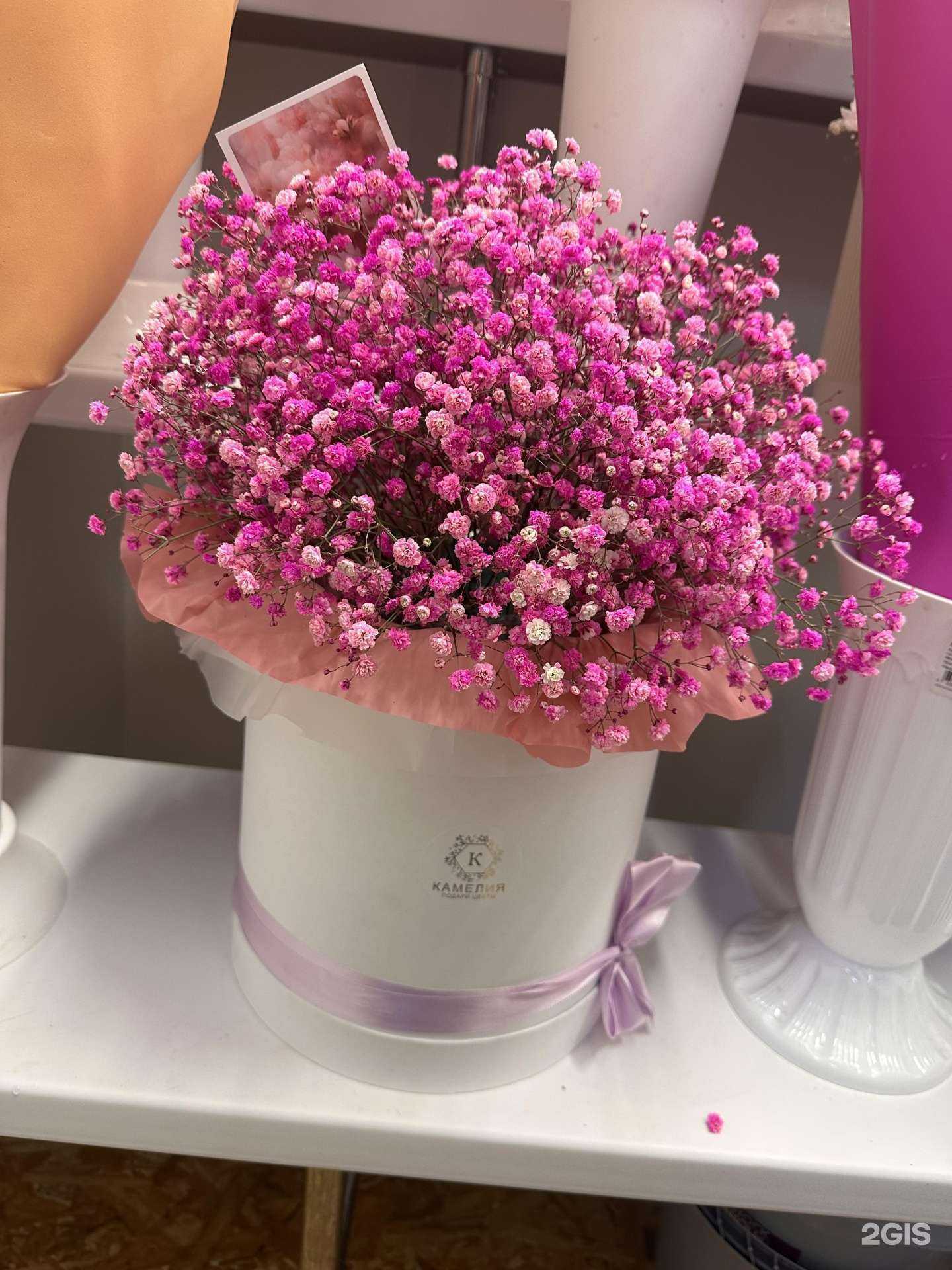 Отзывы на компанию Камелия в Курске c фото