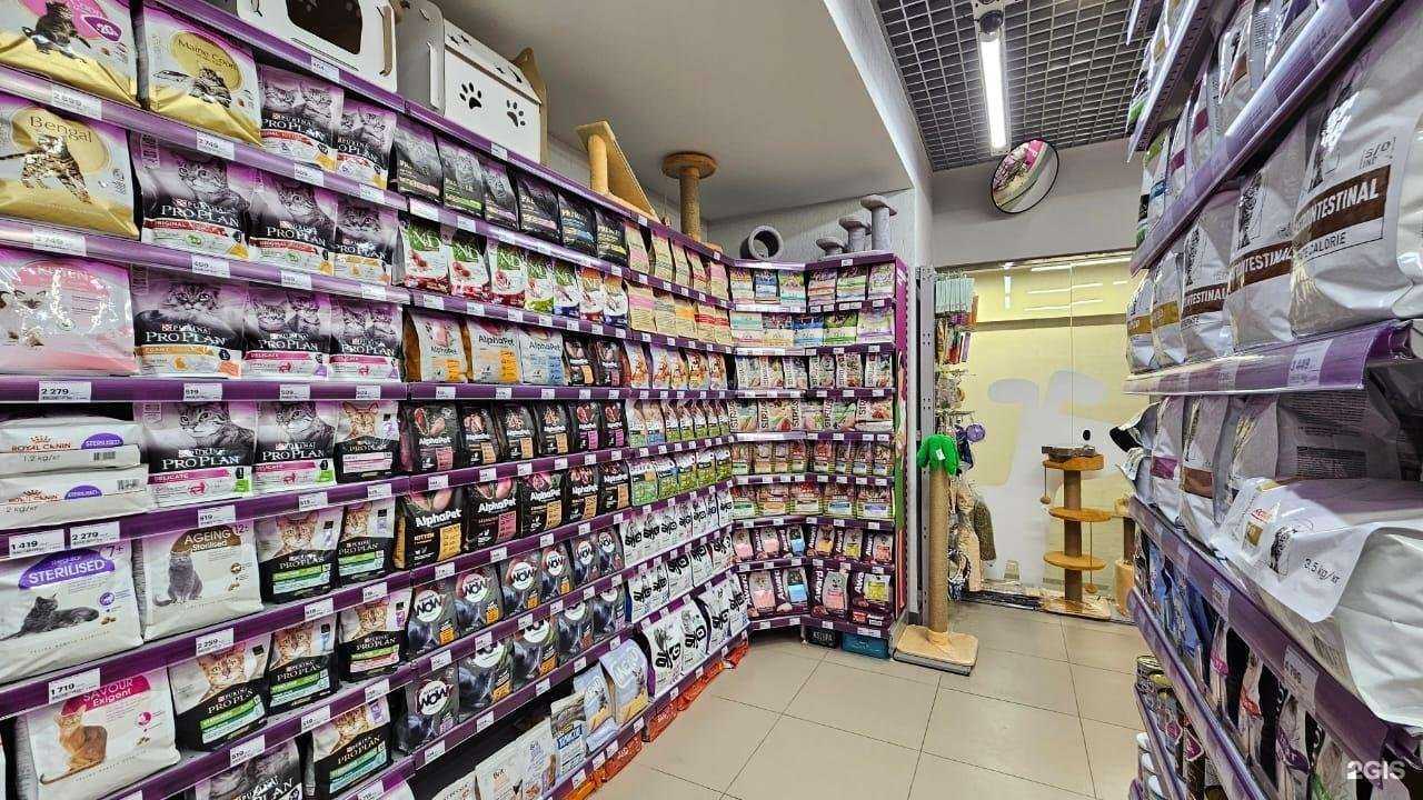 Отзывы на компанию Мокрый нос в Новосибирске c фото