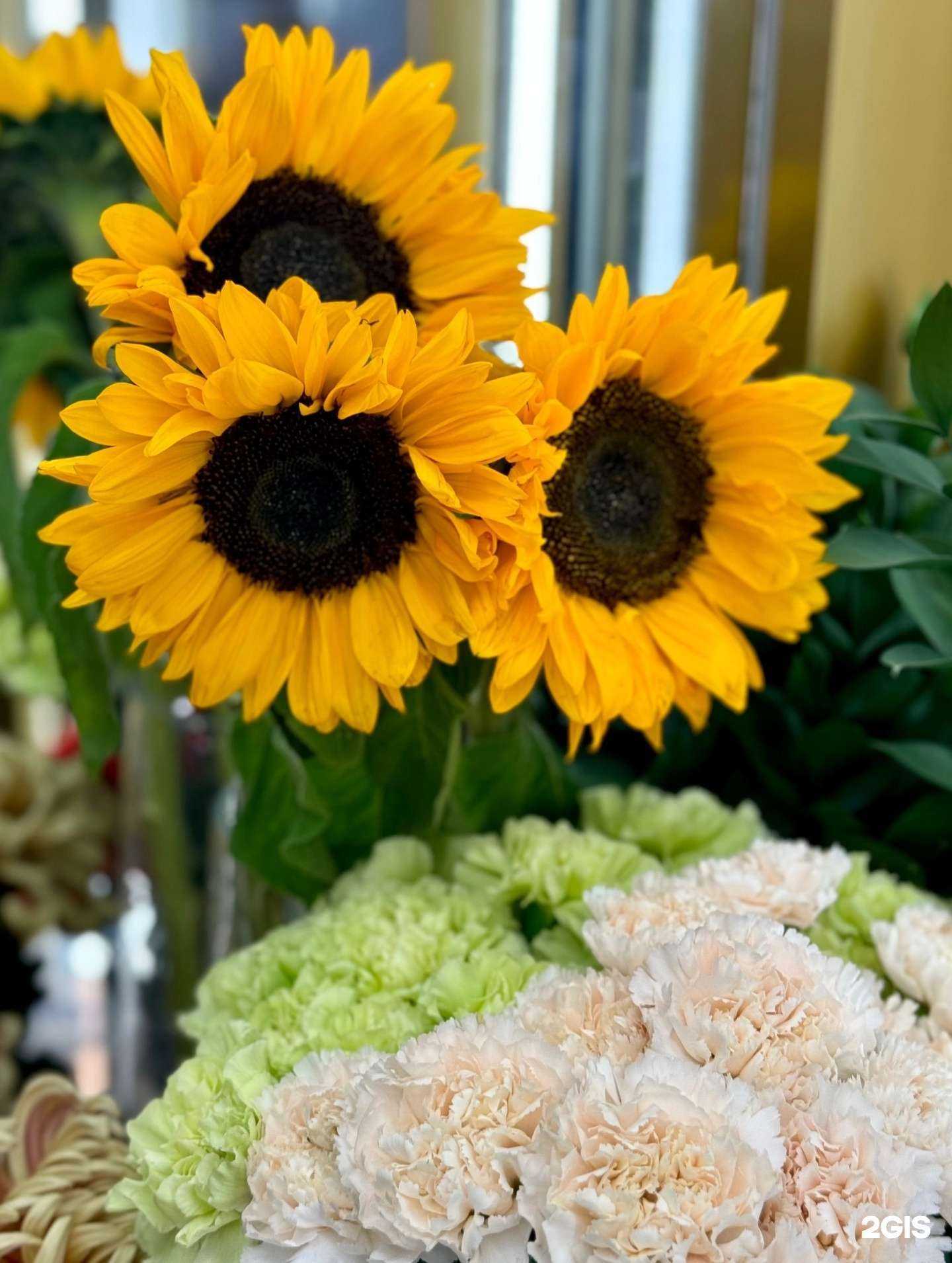 Отзывы на компанию ГрандЦветы в г. Архангельск c фото