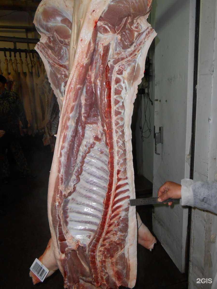Отзывы на компанию Мясо Алтая в г. Бийск c фото