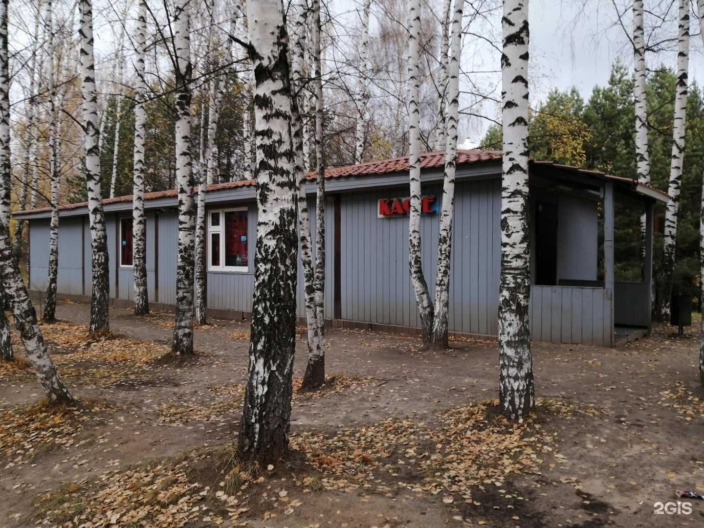 Отзывы на компанию Кафе в Казани c фото