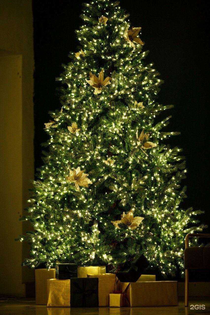 Отзывы на компанию ЮStudio 88 в г. Лесозаводск c фото