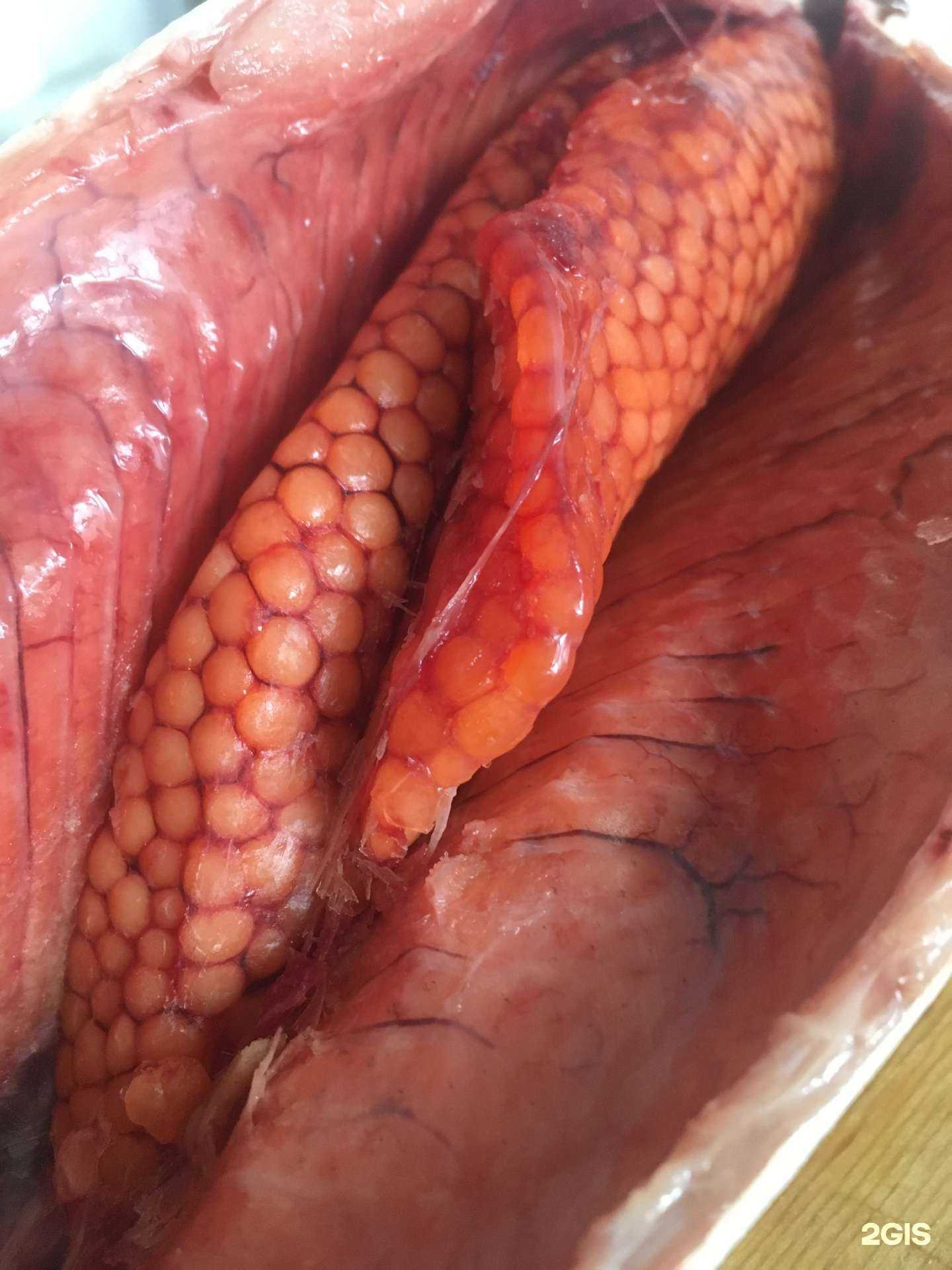 Отзывы на компанию Кит в Тюмени c фото