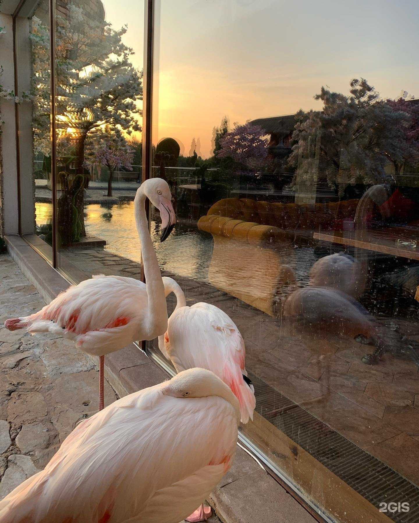 Отзывы на компанию Биосфера в г. Калуга c фото