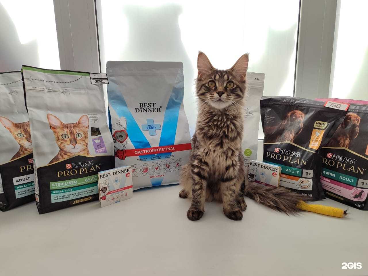 Отзывы на компанию Жизнь в г. Омск c фото