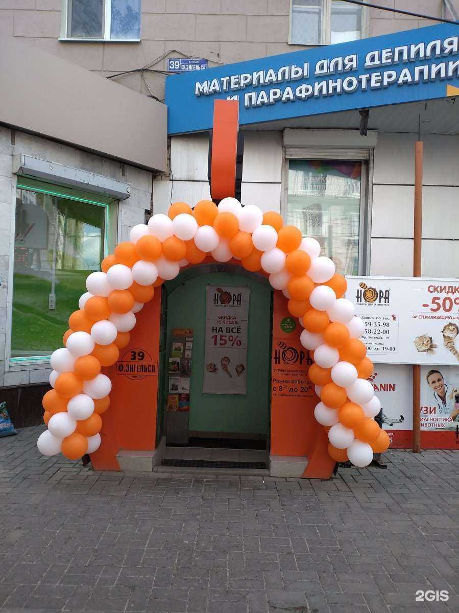 Отзывы на компанию Нора в Воронеже c фото