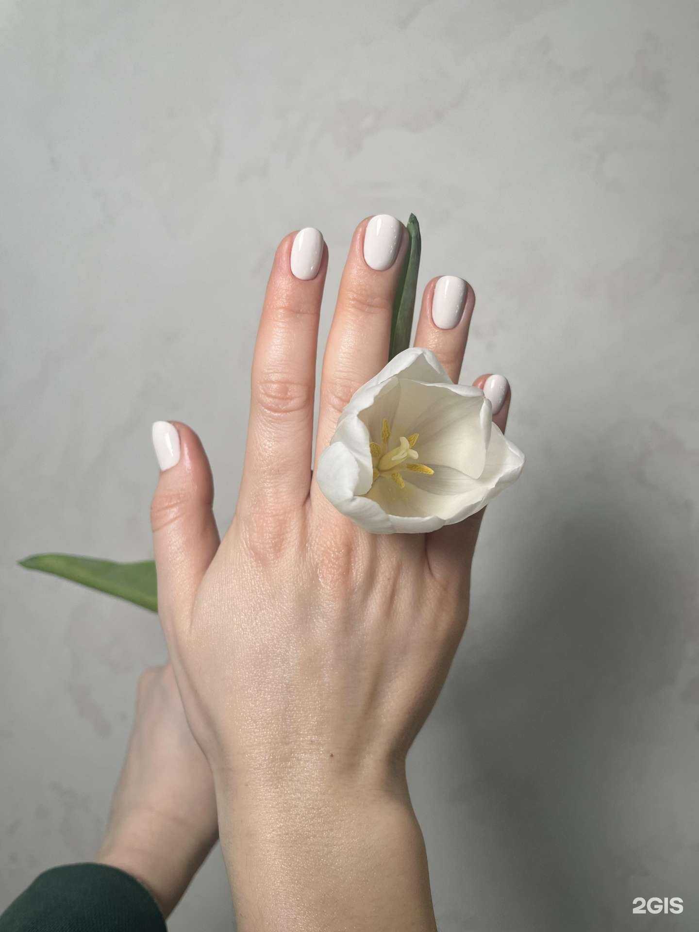 Отзывы на компанию EL Beauty в Казани c фото