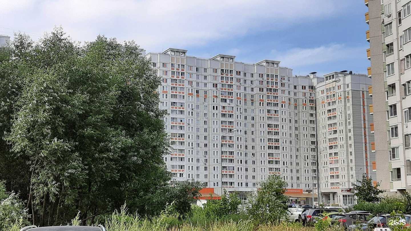 Отзывы на компанию Четыре лапы в Балашихе c фото - фотография 2 из 2