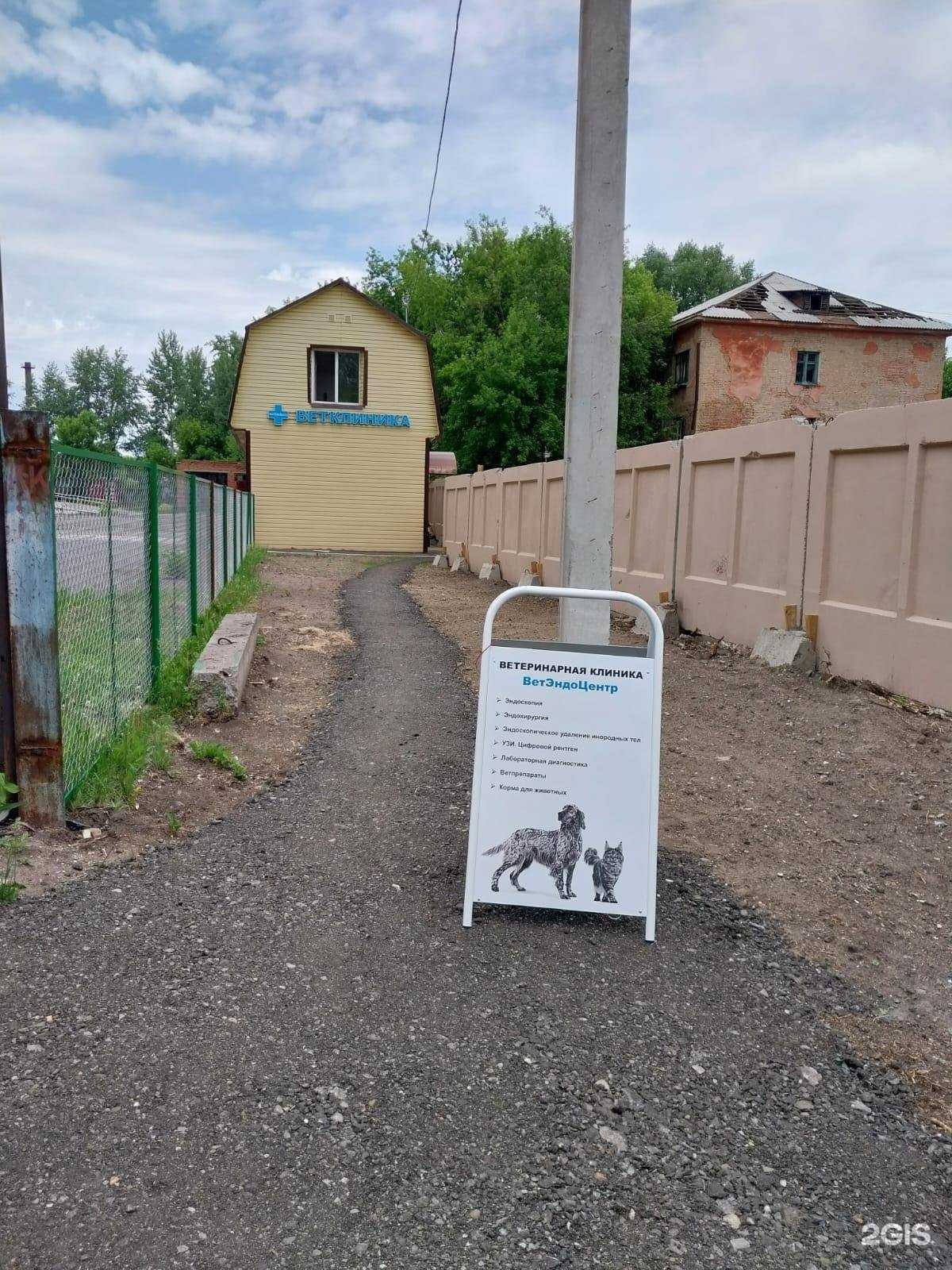 Отзывы на компанию ВетЭндоЦентр в г. Омск c фото