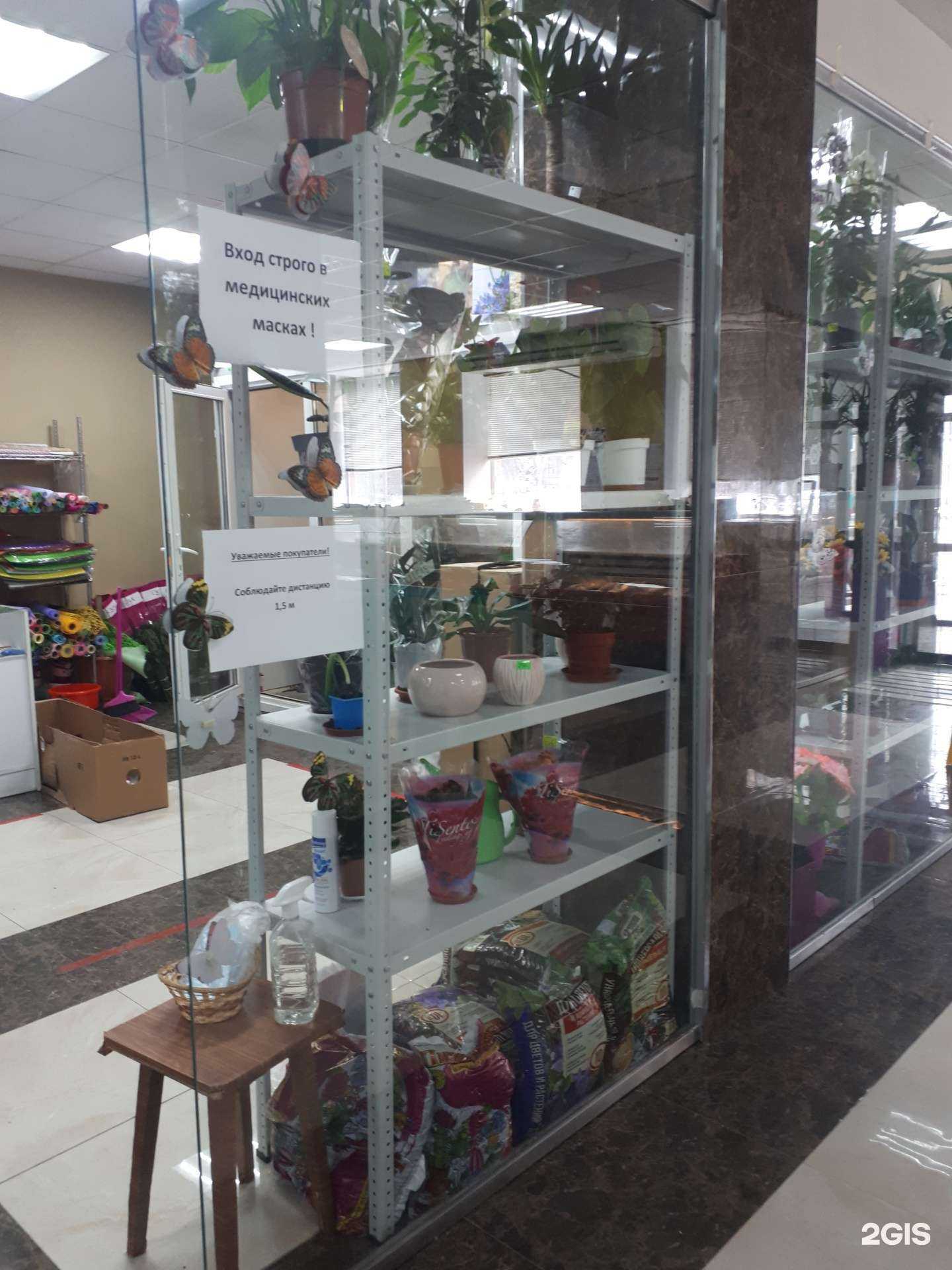 Отзывы на компанию Мегафлора в Мегионе c фото