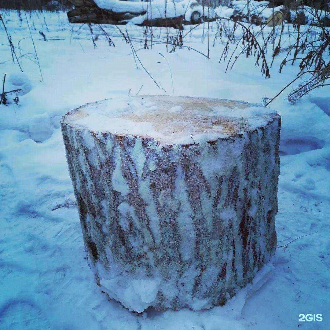 Отзывы на компанию Дом в г. Миасс c фото