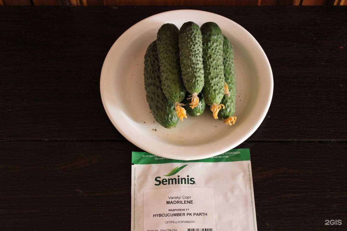 Отзывы на компанию Новые семена в г. Магнитогорск c фото