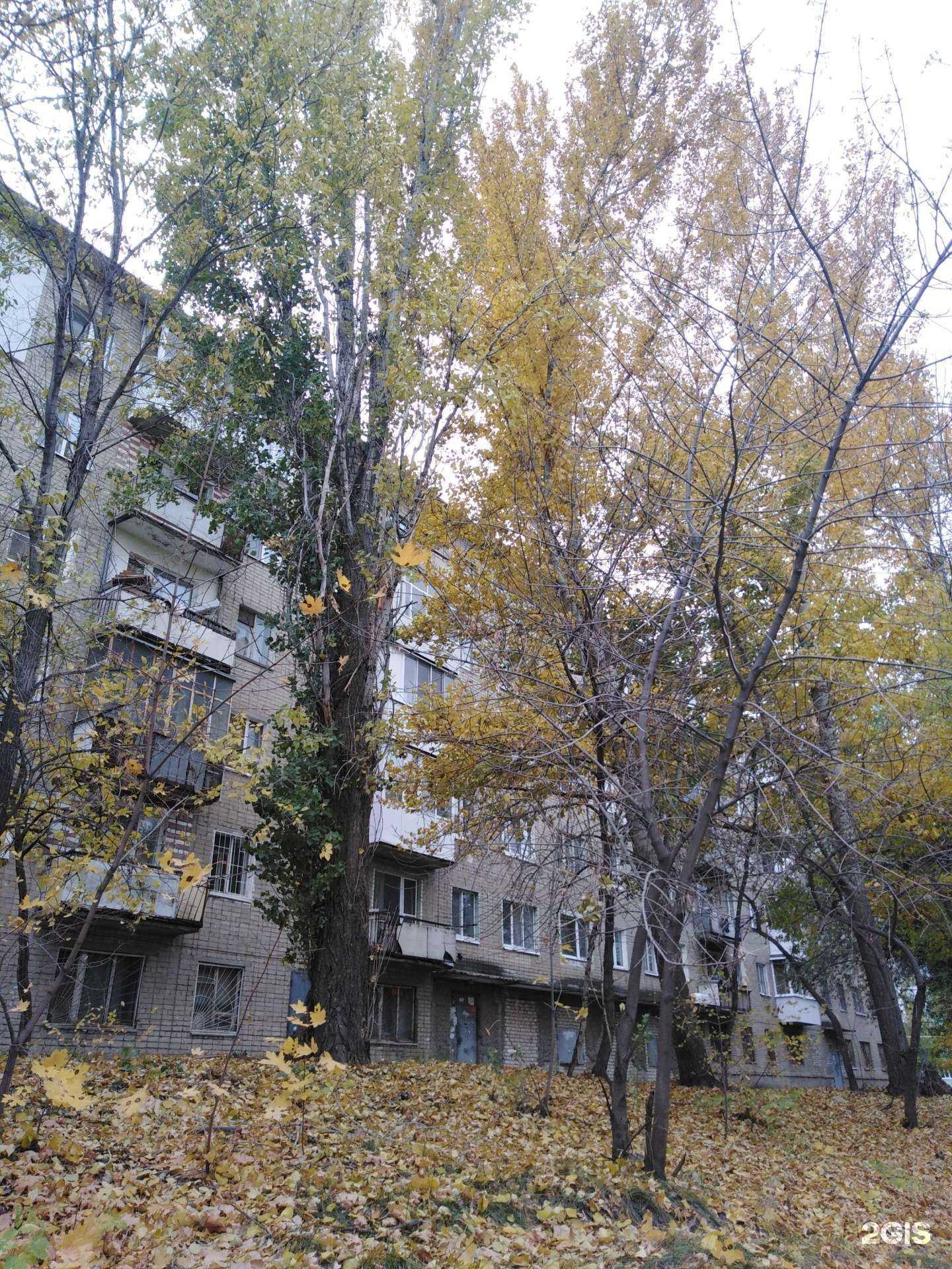 Отзывы на компанию Order164 в Саратове c фото - фотография 2 из 2