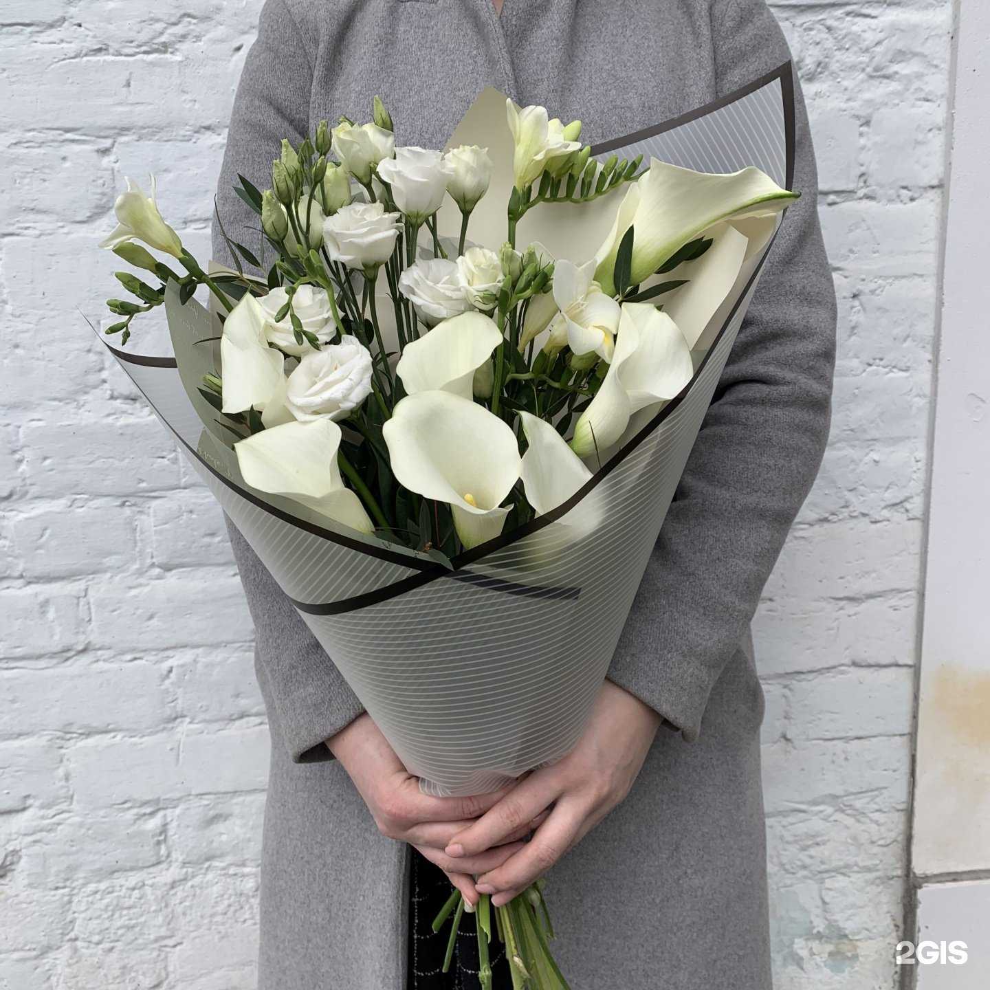 Отзывы на компанию Tani star в Ярославле c фото