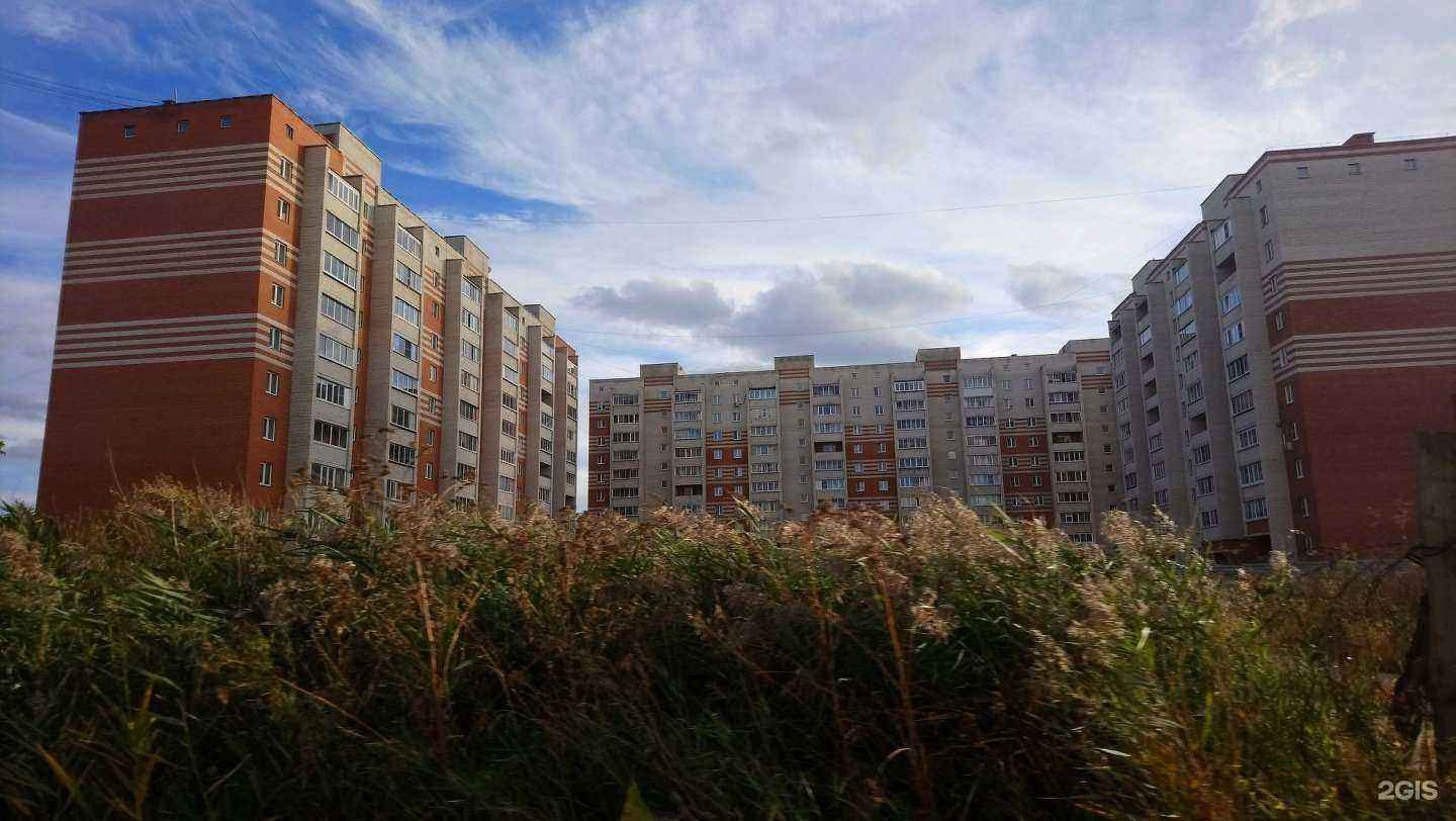 Отзывы на компанию Актион в Миассе c фото - фотография 2 из 2