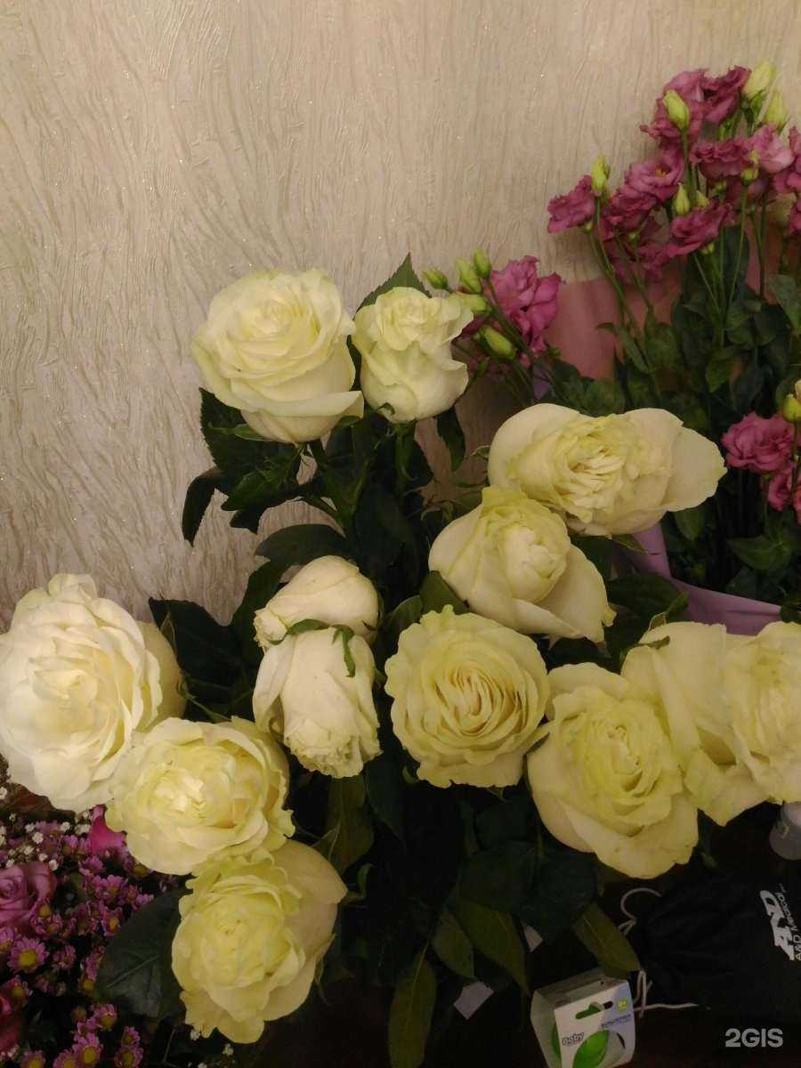 Отзывы на компанию Ландыш в Ульяновске c фото