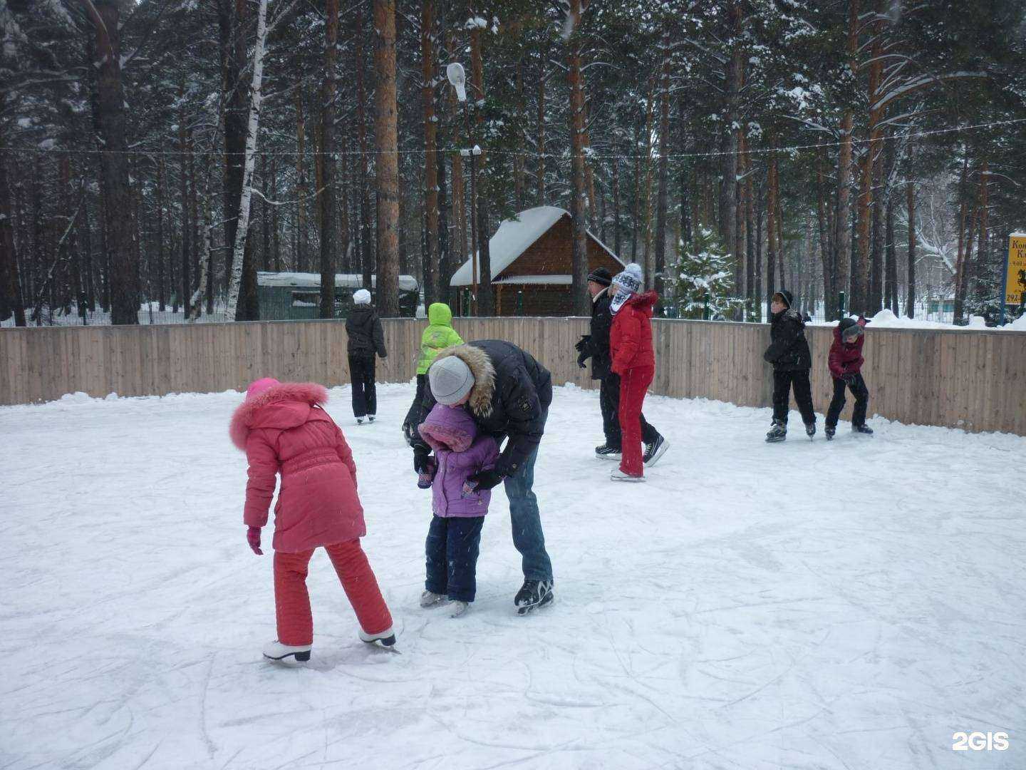 Отзывы на компанию Сосновый бор в Новосибирске c фото
