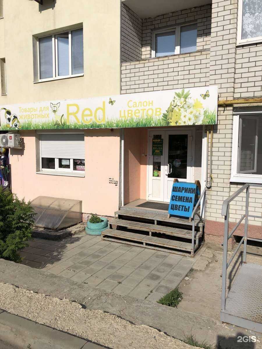 Отзывы на компанию Салон цветов и зоотоваров в Саратове c фото