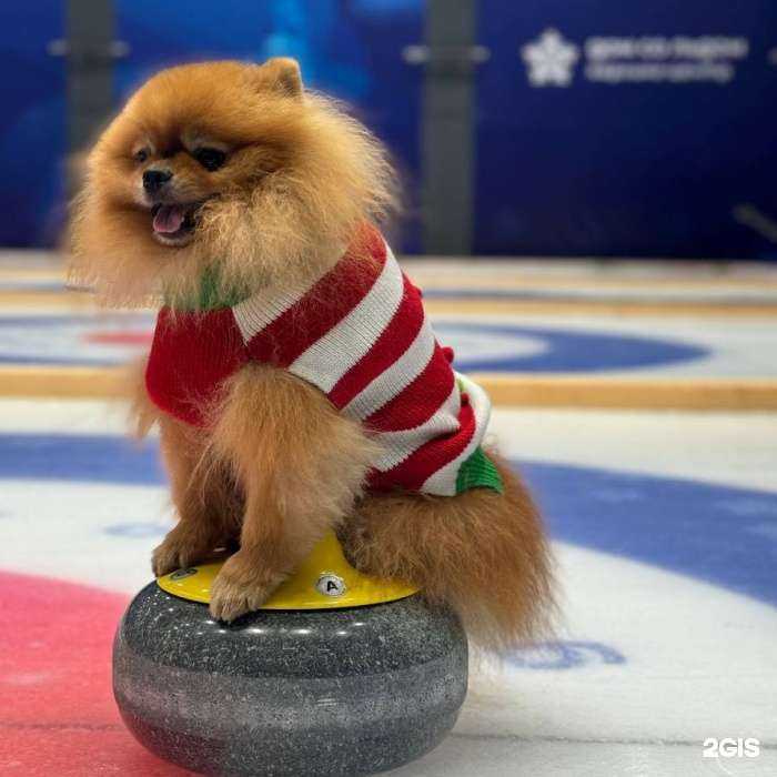 Отзывы на компанию Дом со льдом в г. Владивосток c фото