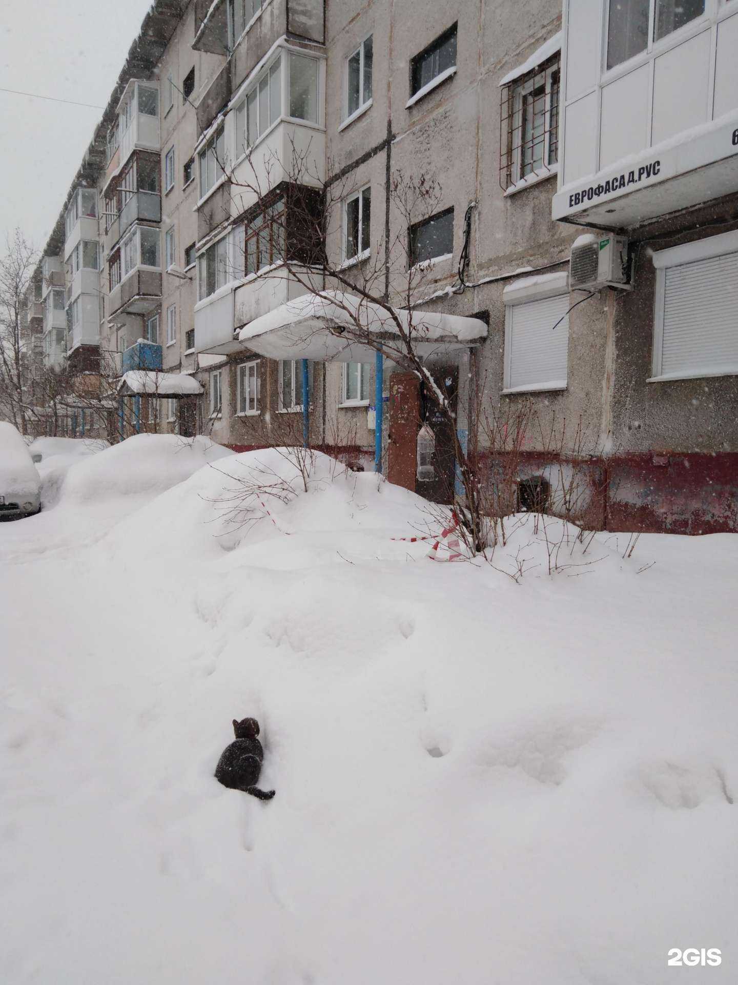 Отзывы на компанию Аптека эконом-класса в Кемерове c фото - фотография 2 из 2