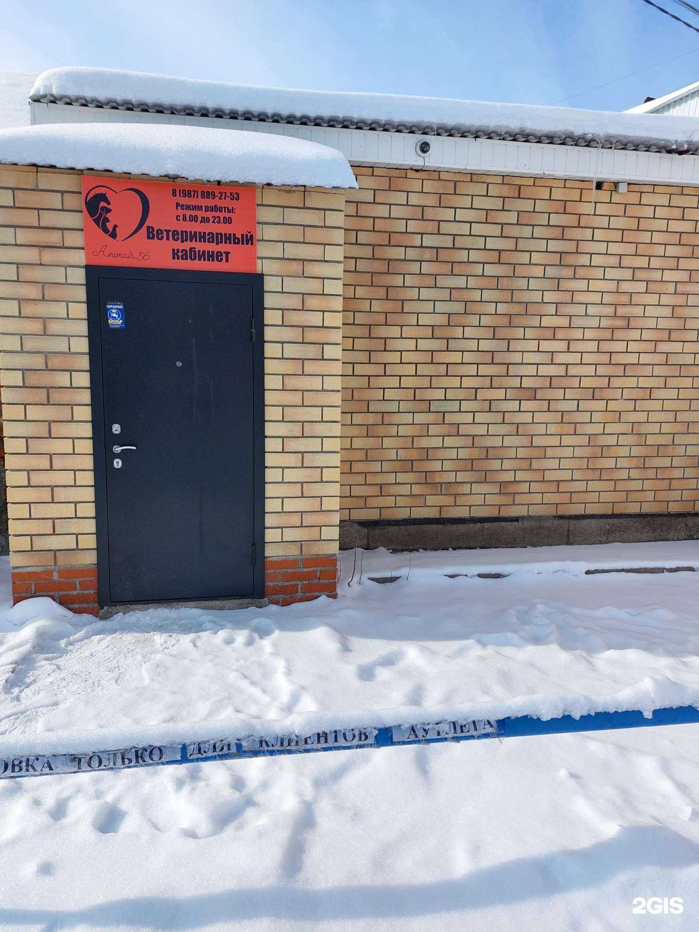 Отзывы на компанию Animals_56 в Оренбурге c фото