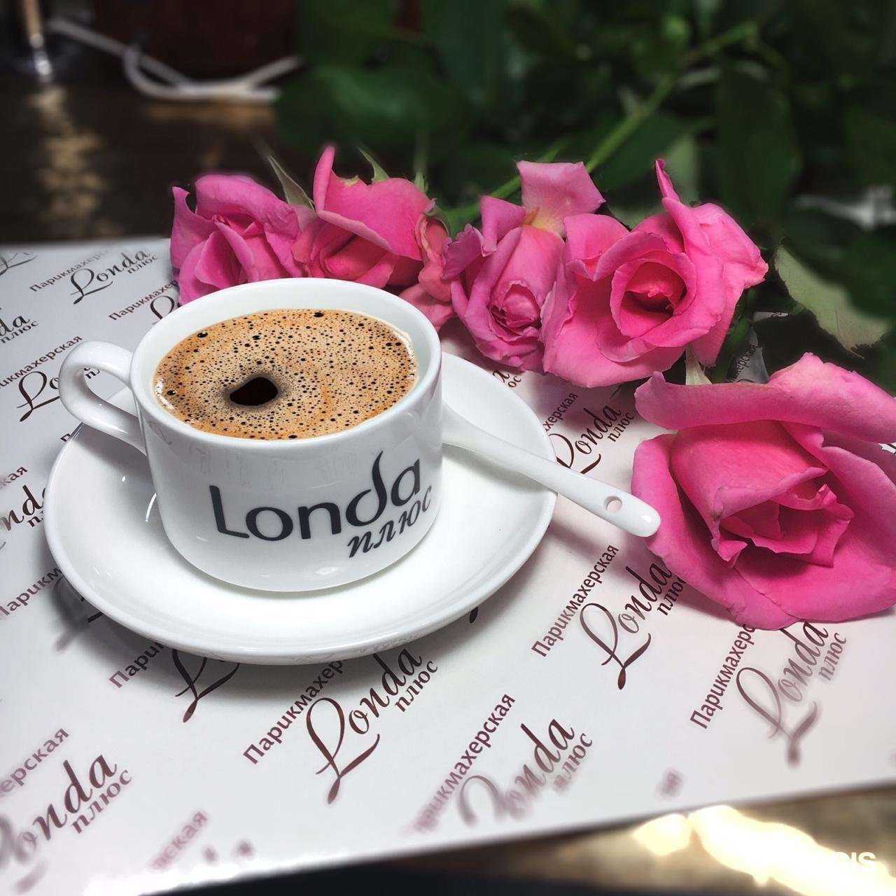 Отзывы на компанию Лонда+ в Новороссийске c фото