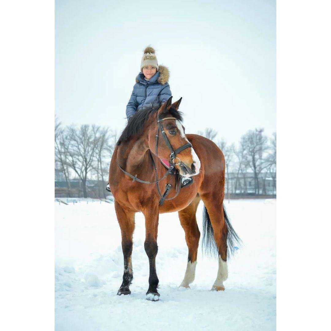 Отзывы на компанию Тамбовский ипподром в Тамбове c фото