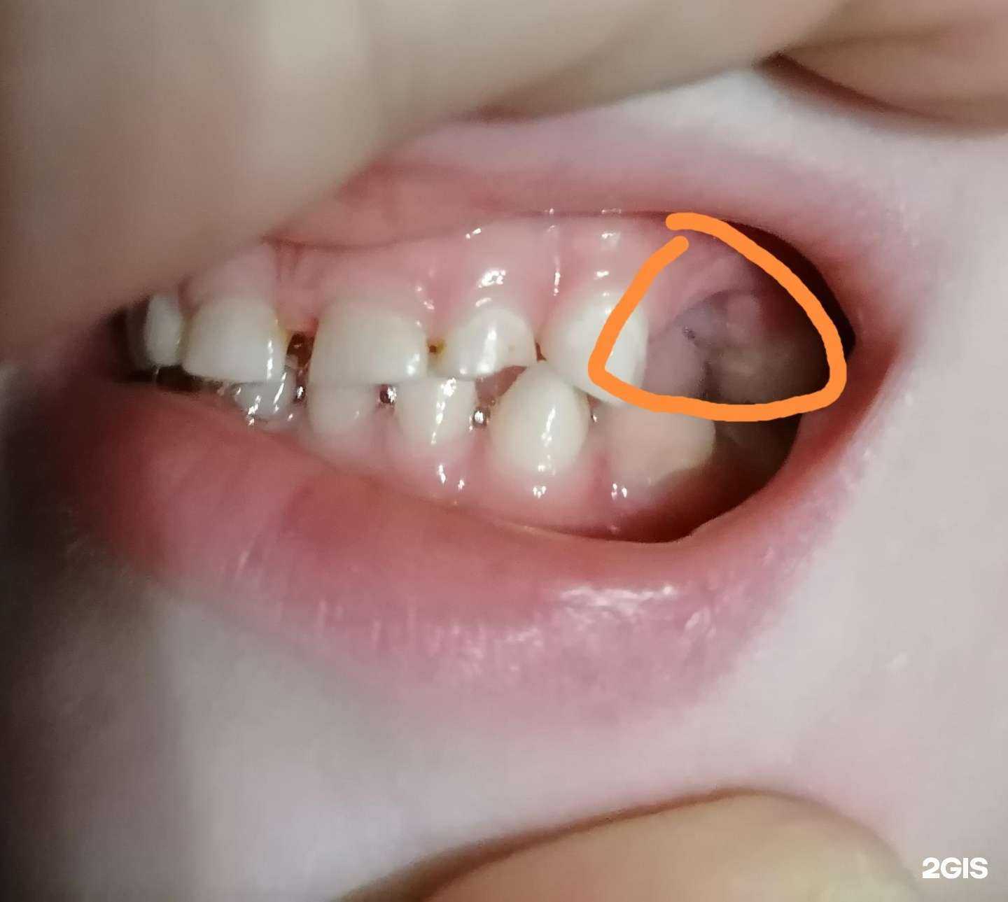 Отзывы на компанию Стоматологическая поликлиника, г. Бийск в Бийске c фото