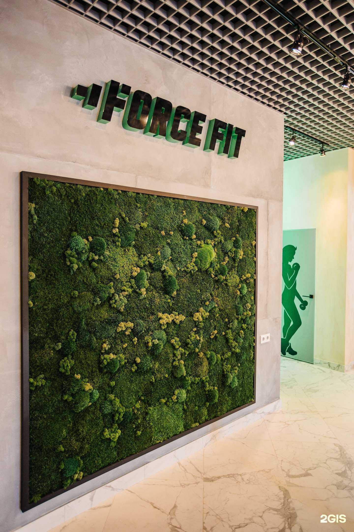 Отзывы на компанию ForceFit в Краснодаре c фото